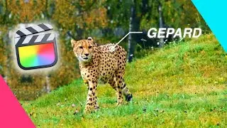 Final Cut Pro - Object Tracking Tutorial 2026 (Deutsch)