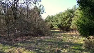 Father and son drone day 2