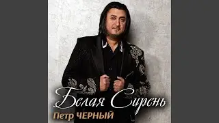 Игрушка