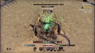 Stamcro Solo Dps Parse *