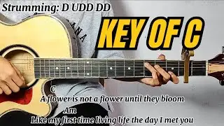 Sining - Dionela ft. Jay R | Guitar Tutorial with Chords and Lyrics (Guitar Play Along)