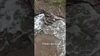 Озеро Шира #video #automobile #shortvideo #жемчужный #шира #озеро