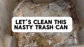 Let’s Clean This Nasty Trash Can