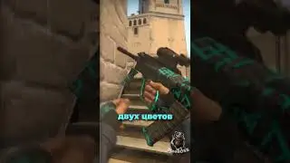 БЮДЖЕТНЫЕ АУГ КС | СЭКОНОМЬ НА РАСКРАСКЕ AUG CS | КАКОЙ СКИН ВЫБРАТЬ НА AUG ДО 100Р В CS2? #shorts