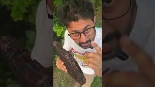 Honey Bees and Swarm Behavior - Stigmergy #biology #swarm #honeybee