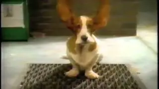 Hush Puppy Footwear Commercial.mp4