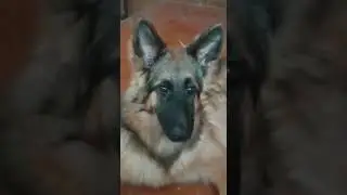 Джульетта