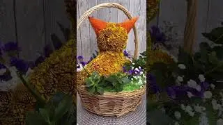 Лисичка из живых цветов 