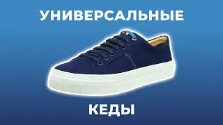 Кеды из Лондона / Обзор кроссовок Ted Baker