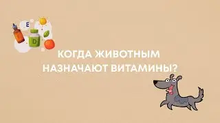 Витамины для животных