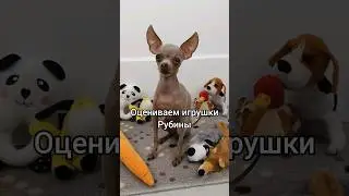 Оцениваем игрушки Руби 