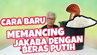 Cara Baru Memancing Jakaba Dengan Beras Putih