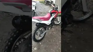 irbis ttr 250