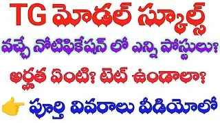 👉TG మోడల్ స్కూల్స్|| వచ్చే నోటిఫికేషన్ లో ఎన్ని పోస్టులు ఉంటాయి || PGT, TGT