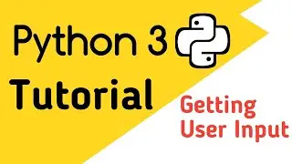 How to take input from the user in python | Python tutorial