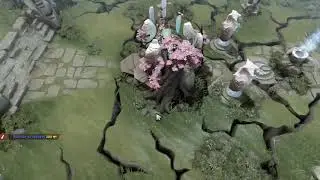 zxc molodoy