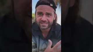 Что создает наше восприятие мира? 