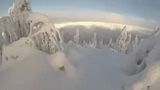 Баланс белого