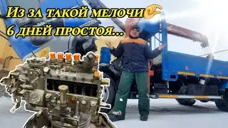 Replacing the fuel injection pump drive oil seal - Hino J08C