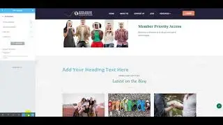 Elementor global color & fonts reset
