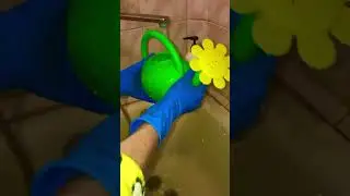 LENA🌺LETO: ЖИЗНЬ РОЗЫ ИЗ БУКЕТА МОЖНО ПРОДОЛЖИТЬ! 