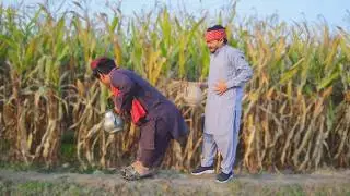 Wada Number Daar Funny Video 2026 Be haind Tha Seen Full Maza