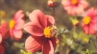 осень