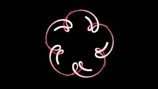 Flower Shine. Video footage effects.