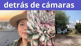 Día de grabación en el Vivero