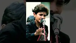 jab rida sir se chini me sada deti rahi tu na aya GAAZI | NOHA mir hasan mir 2022