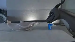 Dragon eatn dolphin