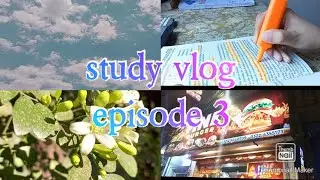 study| study vlog aesthetic| study vlog episode 3