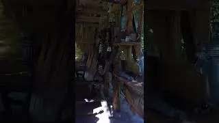 Усадьба Лебедь Турочак Республика Алтай Часть 345 #Shorts