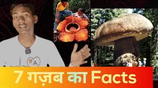 World biggest flower kya hai | 7 Amazing Facts 🔥🔥🔥 🔥🔥🔥