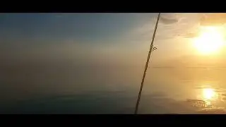 Сегодня Чан