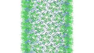 Construction of a Cylindrical HIV Capsid