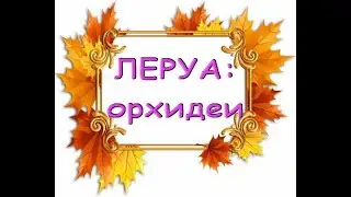 Leroy: WONDERFUL delivery of ORCHIDS, 10/23/20, Samara, TC 