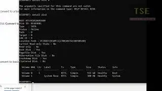 Cannot delete volume on Dynamic disk. Cannot convert Dynamic to basic |Virtual Disk service error