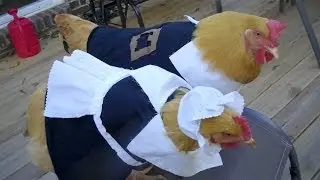 Best Thanksgiving Bird Dressing EVER