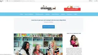 cat clinic blog opt in box edit