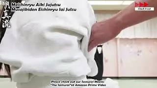 Meishinryu Aikido techniques 明真流　合気道の稽古 #aikido #合気道 #天照会　2025 0213 01
