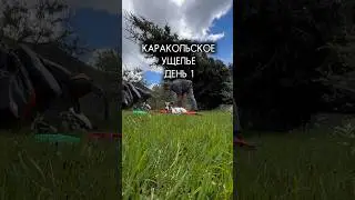 УШЛИ В ГОРЫ И ЛЕС #влог #природа #блог #горы #путешествия #поход #собака