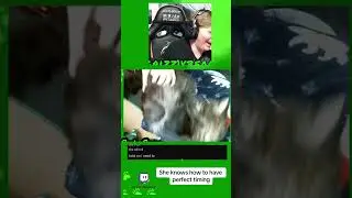 She really knows key timing!..#gamer #cat #timing #clip #funny #funnycat #fyp