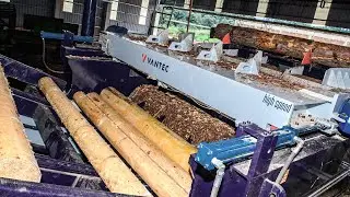 LINHA DE LAMINAÇÃO HIGH SPEED | HIGH SPEED VENEER PEELING LINE | VANTEC MÁQUINAS