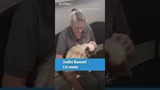 Cat 🐈 reunited with owner 11 years after going missing in South Carolina
