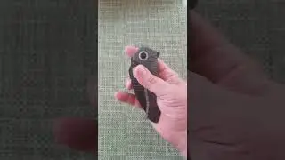 Kizer mini Paragon