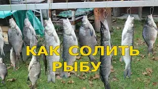 как солить рыбу к пиву