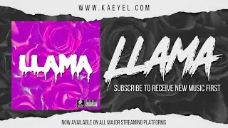 Kaeyel - Llama (Official Audio)