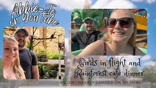 Animal Kingdom - Dramatic Owl Encounter: Disney World Florida Vlogs 2024