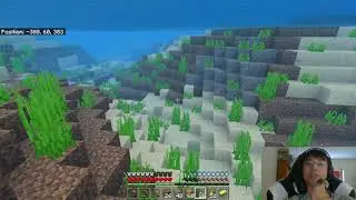 Minecraft Cliffs&Caves #8: More Torches